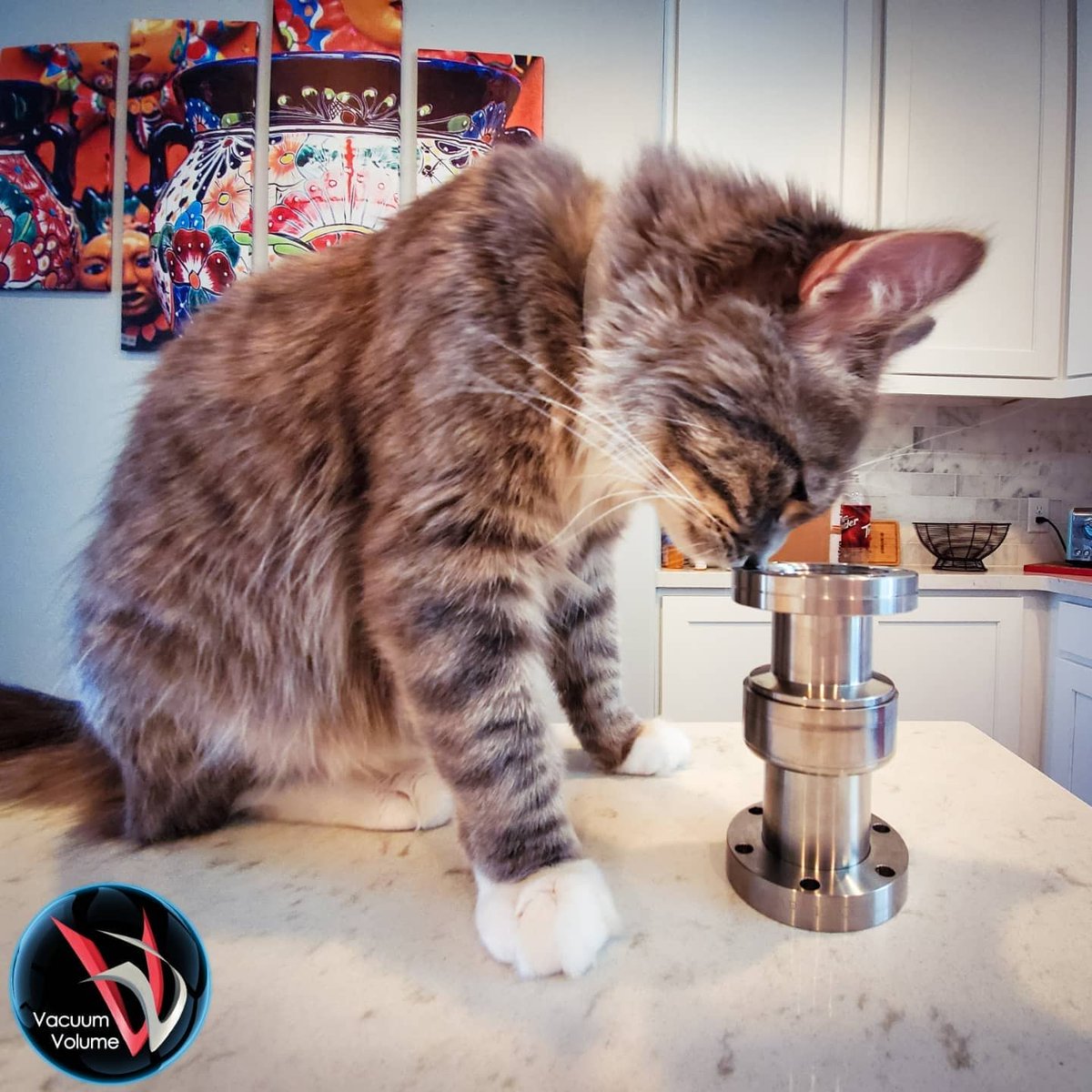 VacuumVolume's tweet photo. Meet our new quality control manager! He's so good that he can use his nose to sniff out leaks. 😹
#VacuumVolume #VacuumTechnology #VacuumScience #VacuumTech #QualityControl #catscientist #QCtech #leaktest #leaktesting #cats #catsoftwitter #catworker #UltraHighVacuum #highvacuum https://t.co/S0fPOIpv1Q
