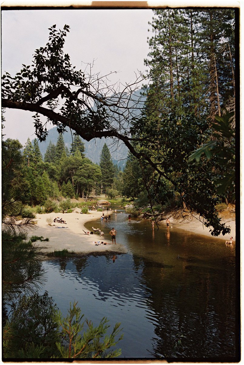 nicsagodic's tweet photo. @KodakProFilmBiz #film #35mm #portra https://t.co/wWtPOH7zRU