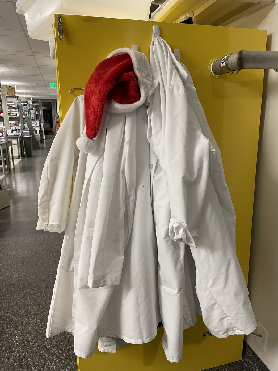 Santa is a very diligent scientist, checks all experimental results twice