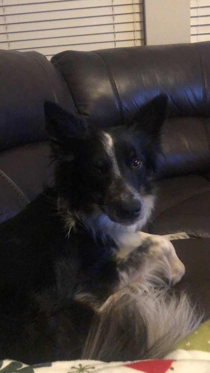 Angela Christian tweet media