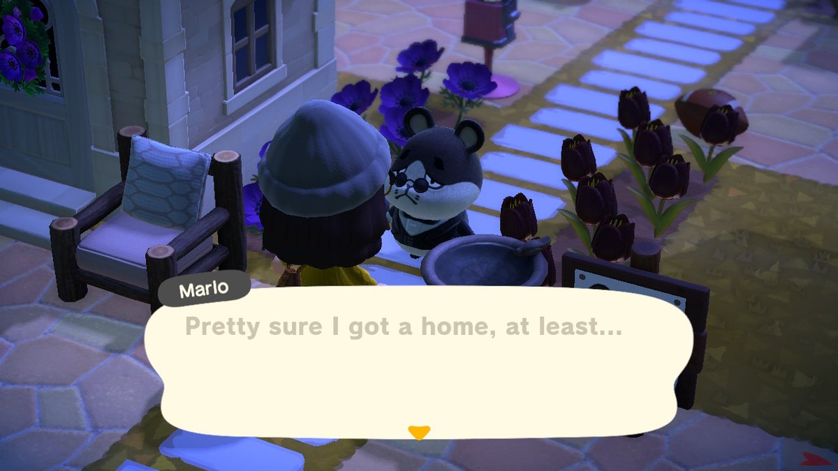 MistyBayPics's tweet photo. i care him so much #AnimalCrossing #ACNH #NintendoSwitch https://t.co/b5ZG8jwr5h