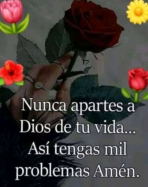 JPenasolis's tweet photo. Amen https://t.co/pHrSAkgO3e
