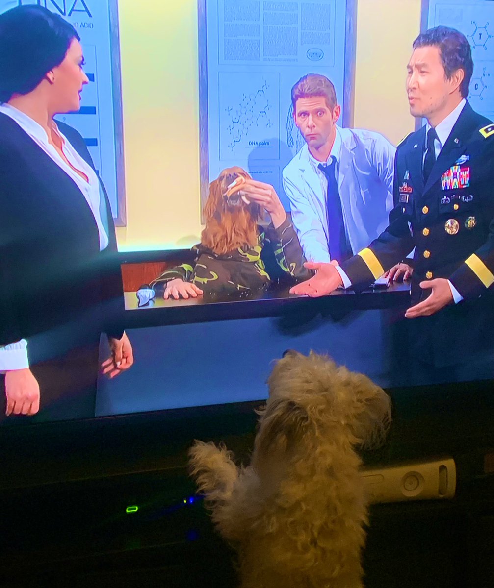carlyconwayTV's tweet photo. Nearly 24 hours late, but the #DogHeadMan skit has now officially been viewed/approved by my household. @nbcsnl https://t.co/yvEBzl8B9o
