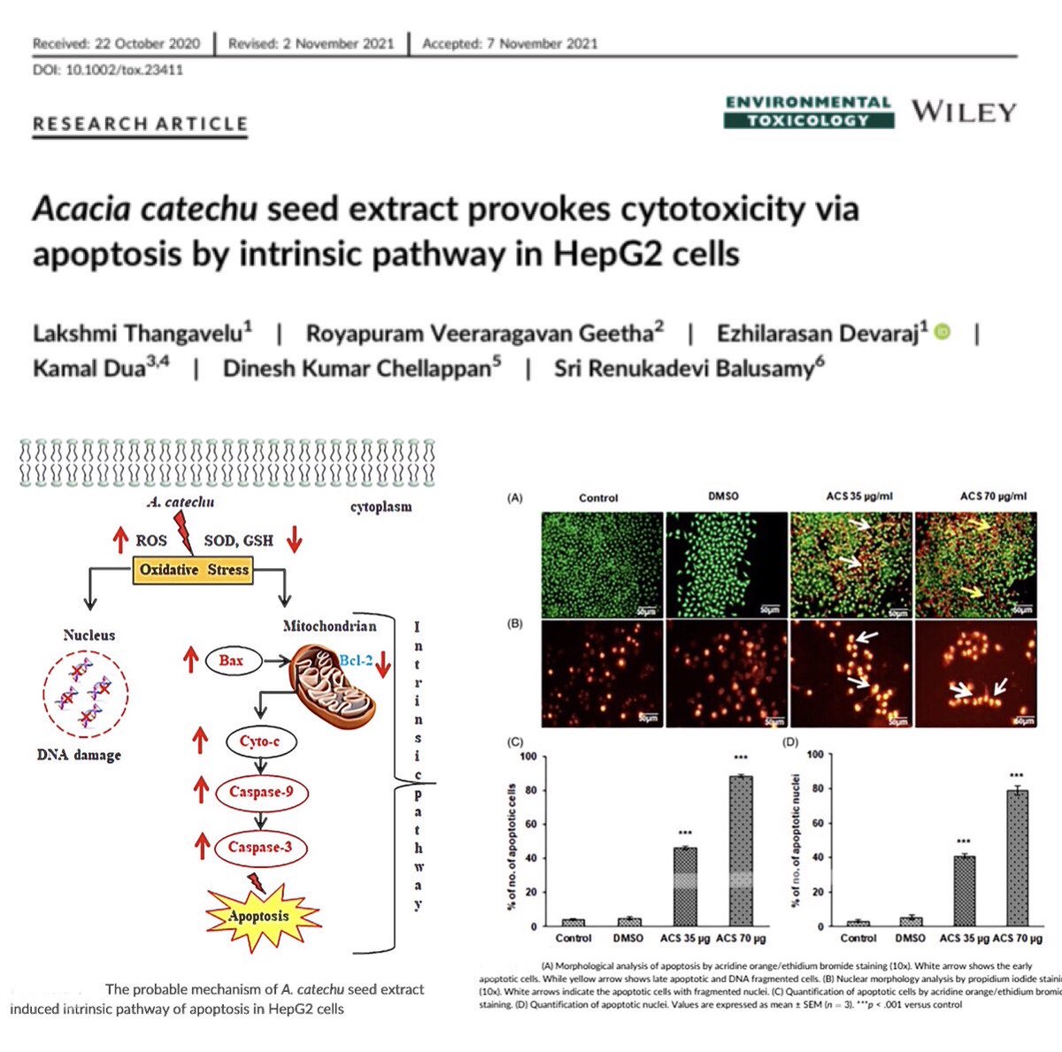 Dinesh Kumar Chellappan, PhD (@dinesh_kumar78) on Twitter photo Acacia catechu seed extract provokes cytotoxicity via apoptosis by intrinsic pathway in HepG2 cells doi.org/10.1002/tox.23… <a href="/Kam_Dua/">Kamal Dua</a> #Dua_Lab <a href="/Dinesh_Kumar78/">Dinesh Kumar Chellappan, PhD</a> <a href="/_atanas_/">Atanas G. Atanasov</a> #INPST #NPMND <a href="/ScienceCommuni2/">Science Communication</a> @sci_find @ScicommBot <a href="/UTSARCCIM/">ARCCIM</a> <a href="/IMUMalaysia/">IMU Malaysia</a> <a href="/UTS_Health/">UTS Health</a> #science #DHPSP Acacia catechu seed extract provokes cytotoxicity via apoptosis by intrinsic pathway in HepG2 cells doi.org/10.1002/tox.23… <a href="/Kam_Dua/">Kamal Dua</a> #Dua_Lab <a href="/Dinesh_Kumar78/">Dinesh Kumar Chellappan, PhD</a> <a href="/_atanas_/">Atanas G. Atanasov</a> #INPST #NPMND <a href="/ScienceCommuni2/">Science Communication</a> @sci_find @ScicommBot <a href="/UTSARCCIM/">ARCCIM</a> <a href="/IMUMalaysia/">IMU Malaysia</a> <a href="/UTS_Health/">UTS Health</a> #science #DHPSP