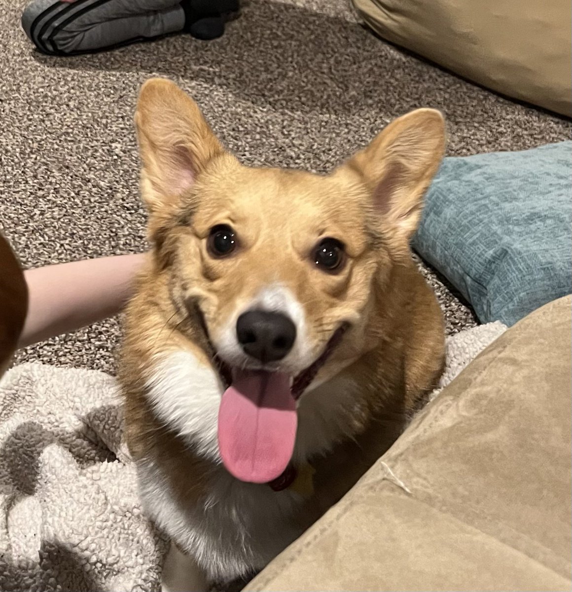 Smile!
