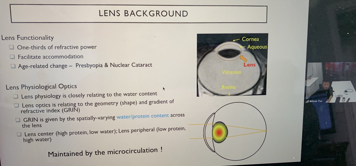 stadimal's tweet photo. Dr Wilson Pan talks about using multiparametric MRI to study ocular lens ⁦@ISMRM_ANZ⁩ https://t.co/nFJRWUEbzs
