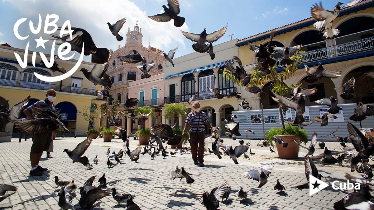 cubatel21's tweet photo. #CubaVive #Habana502 https://t.co/UrL54EQgLz