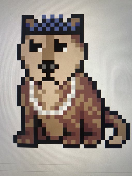 What can I say… I love doges https://t.co/yjYWZhchyL