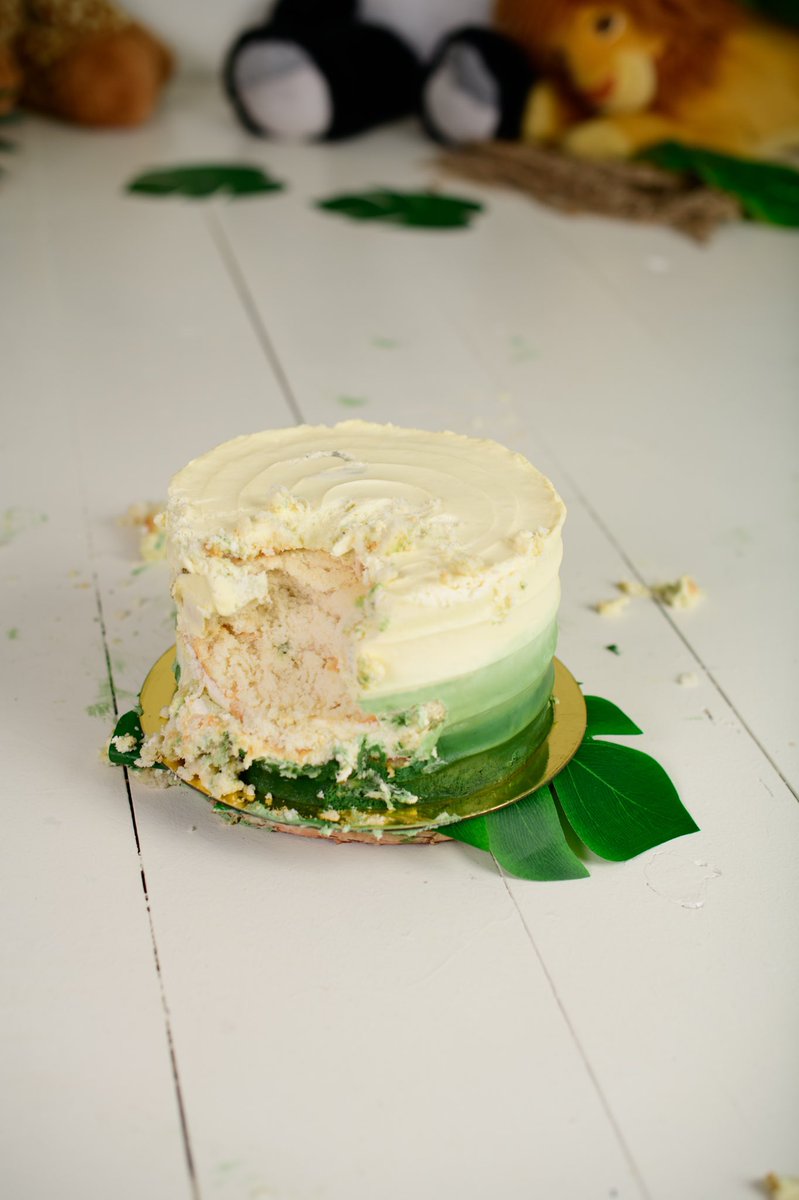 taylors_treats's tweet image. How perfect is this smash session by @violetlacephoto 🥰

#smashcake #smashsession #cakes #smallbusiness #birthdaycake #baker #bakery #violetlacephotography #junglecake #jungletheme