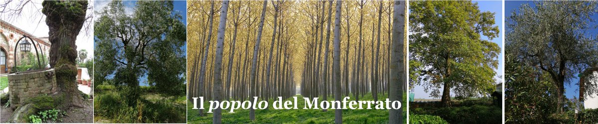 MONFERRATO GREEN FARM tweet media