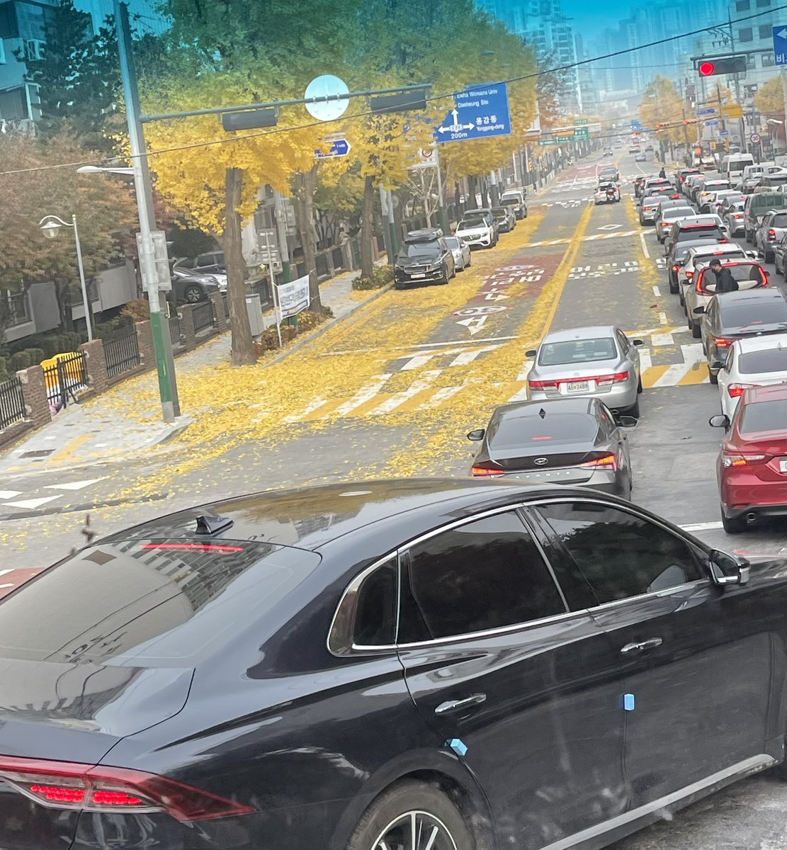 Өглөөний мэнд.
Эрүүл энх аз хиймортой амжилт бүтээлээр дүүрэн байг.
Coлонгос улс Сөүл хотоос 2021.11.22 #Mongolia #Seuol