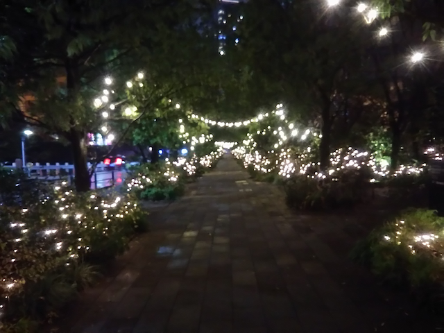 Craftbeer_HighB's tweet photo. 🚶‍♀️Walking🚶‍♂️
🎄クリスマス風景
今年は楽しめそうですね
解説員を勤める #気象庁気象科学館 も通常営業になり
最近話題の海底火山噴火で噴出した軽石も新規展示開始
イルミネーションの楽しみついでにご来館ください
#ハイB 😀
#Highlandport #craftbeer #HighB #気象予報士 https://t.co/wiymXTQz9U