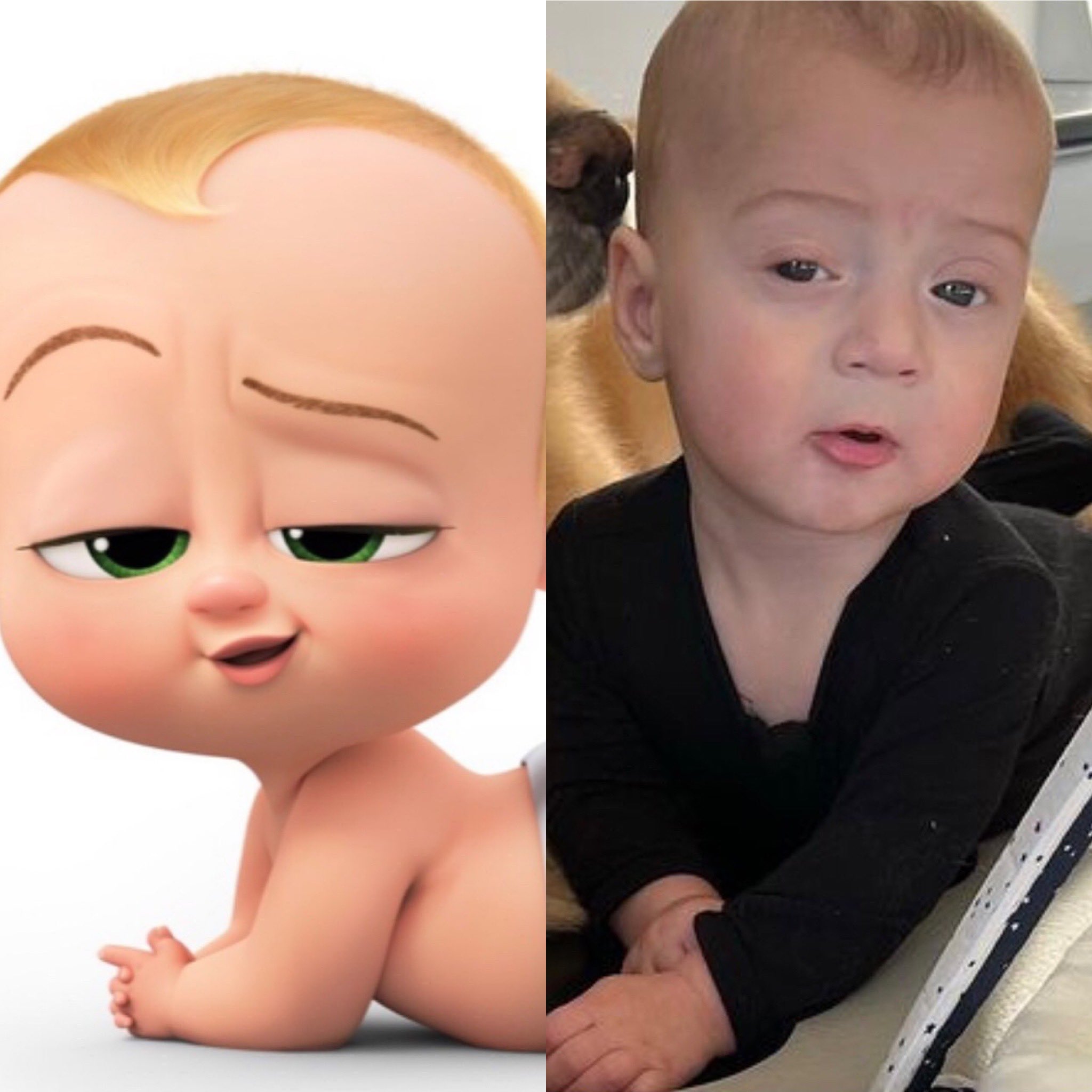 krænkelse spørgeskema Børnehave Mike The Situation ☝🏻 on Twitter: "Boss baby Sitch 👶🏼  https://t.co/p0OjXbROWu" / Twitter