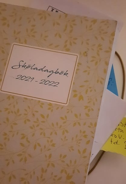 soleyorr's tweet photo. D4 #12dagatwitter ég nota dagbókina mína á hverjum degi og oft á dag. https://t.co/1Dnlrz4lgT