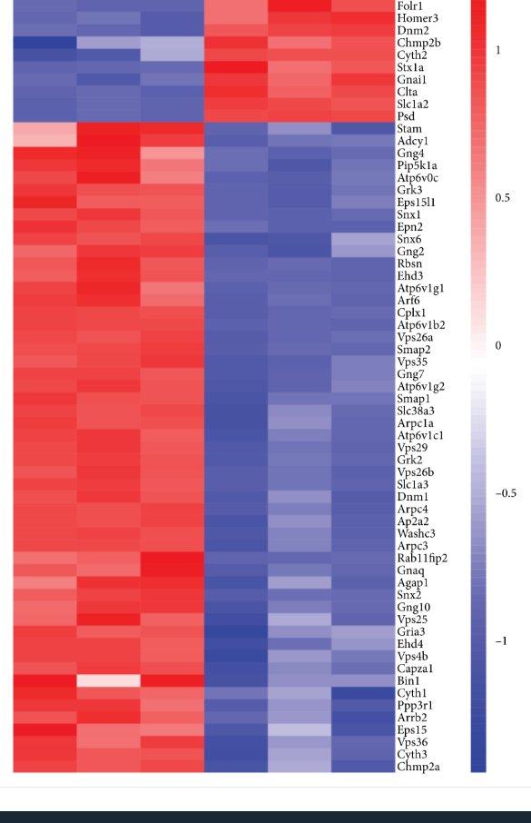SpaceSciTech's tweet image. Why are #astronauts at risk for depression? A team of medical researchers led by Professors Yulin Deng and Yongqian Zhang of the Beijing Institute of Technology tried to solve this problem, using rats as an animal model. 
Read more: spj.sciencemag.org/journals/space…