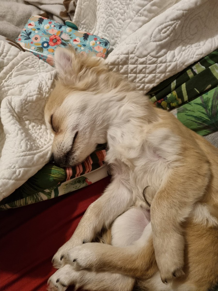 AxlMalton's tweet photo. @StephenKing my #ThingofEvil is resting... For now https://t.co/SghdMuHlxl