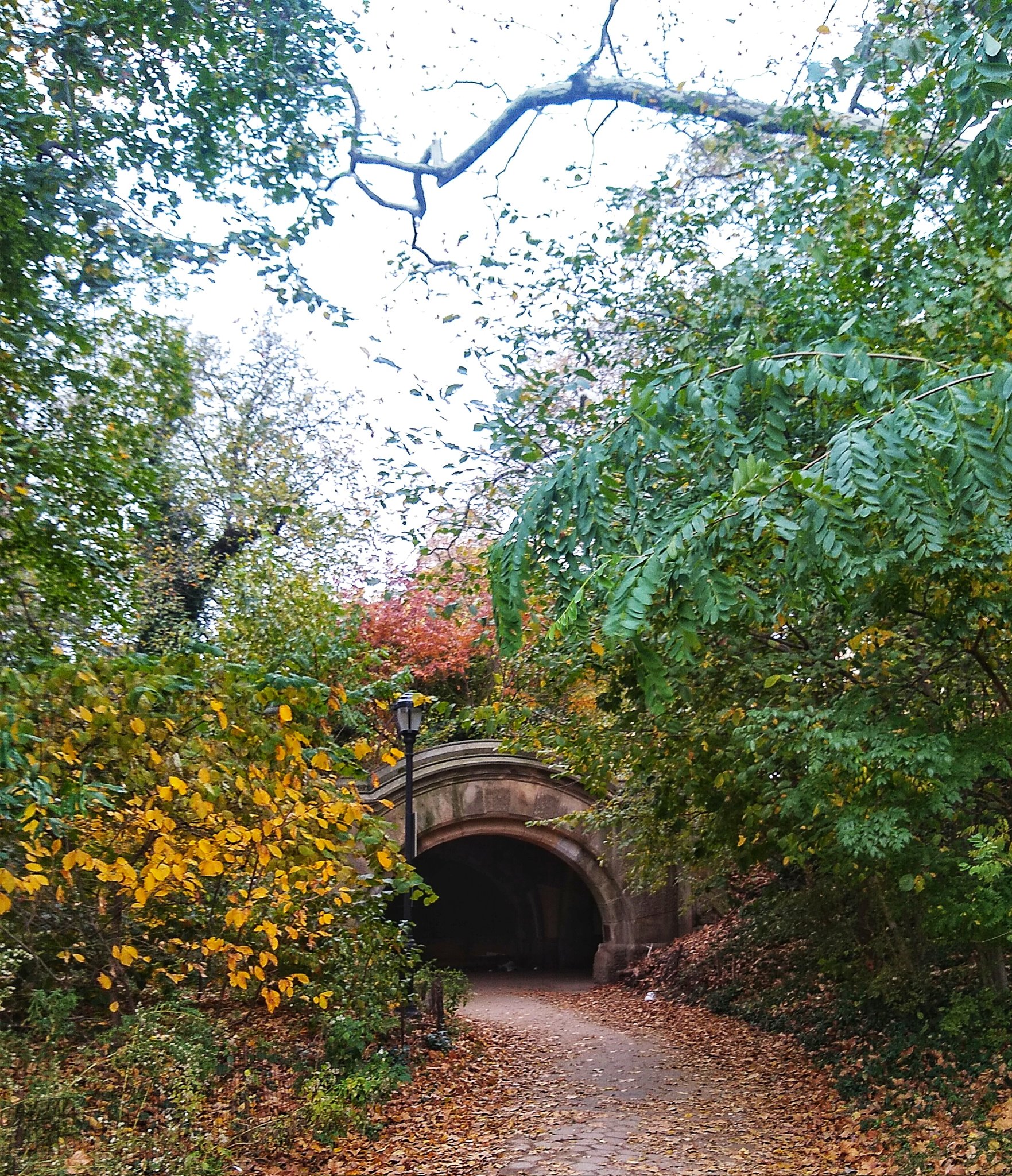 Michael Novakhov retweeted: Today’s walk. #prospectpark #brooklyn #meadowportarch