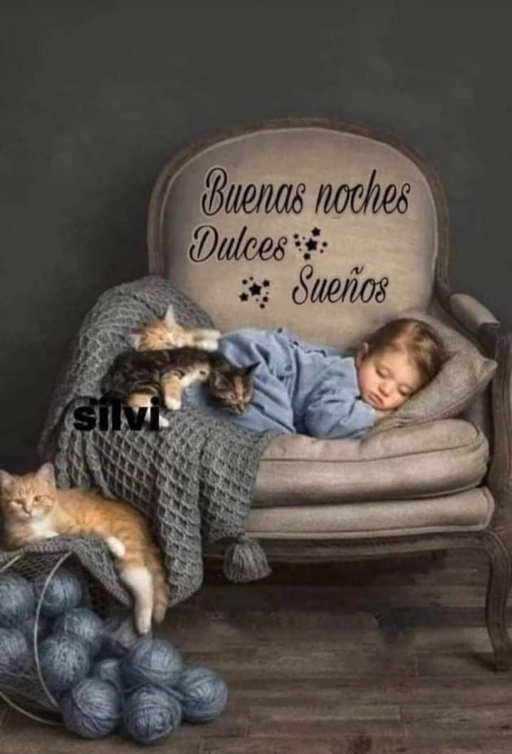 ConchaM11110797's tweet photo. Feliz descanso, hasta mañana...😘😘😘 https://t.co/zy79PJQsFR