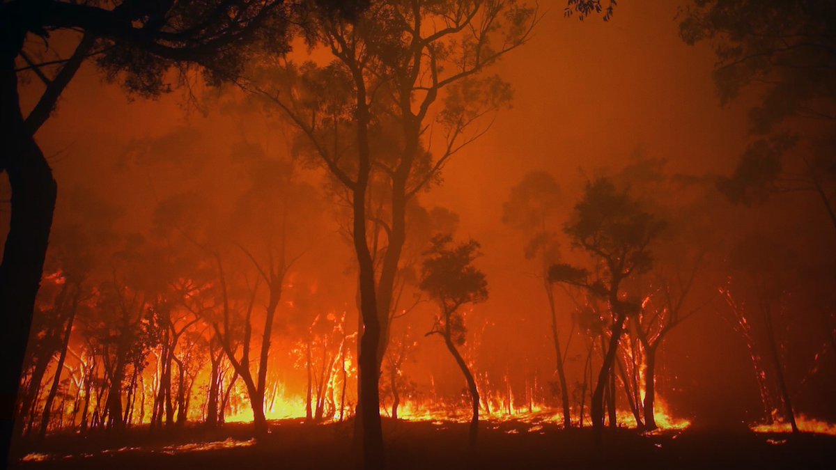 BURNING 
Oscar-winning filmmaker <a href="/evaorner/">eva orner</a>  focuses on the “Black Summer” of 2019-2020 when bushfires ravaged her home country of Australia and on the political climate that helped fuel the crisis. 
Co-presented by <a href="/austscreenforum/">Australian Screen Forum New York</a>.
<a href="/jschaerf/">Jonathan Schaerf</a>
2021.docnyc.net/Burning