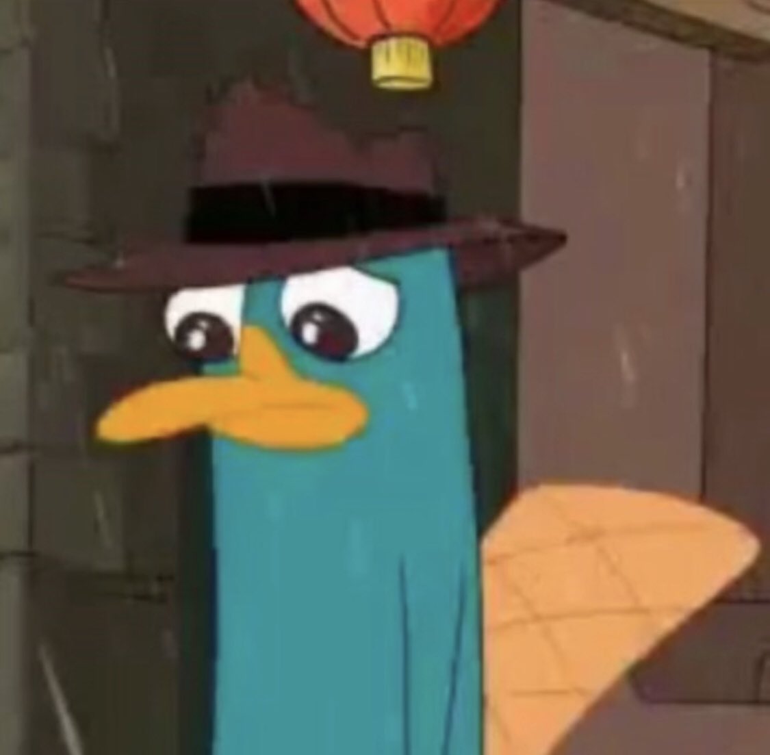 rexii💓 tweet media