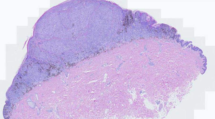 Henry YANG tweet media