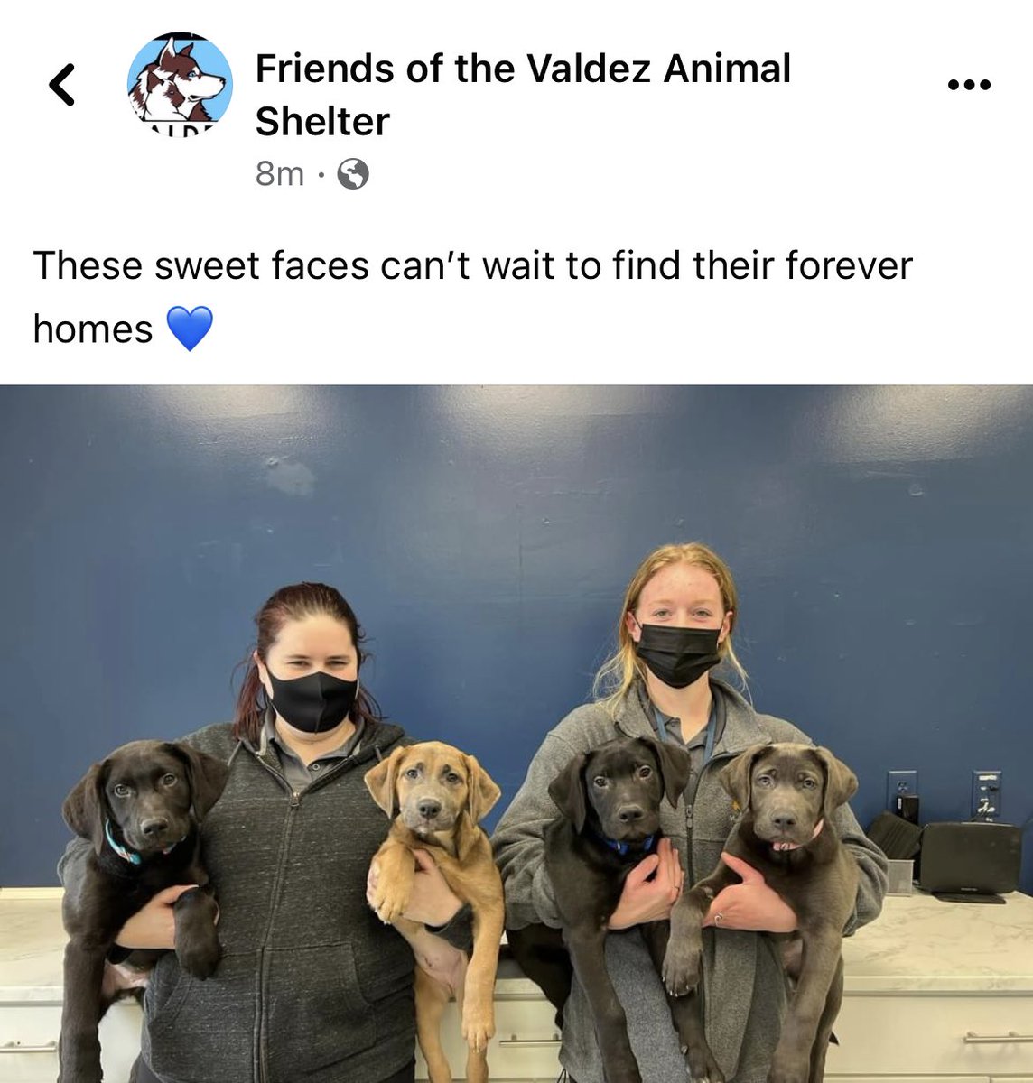 Megan Collier Gunderson tweet media