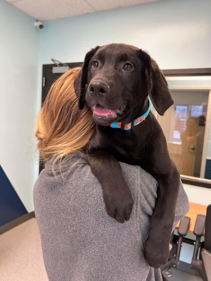 Megan Collier Gunderson tweet media