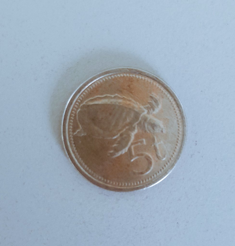 tongamp_g's tweet photo. 🇵🇬#Kina #toea, 
I know that 5t is still legal tender in #PNG or am I missing something?
The idea of cashiers handing out lollies in place of 5t is annoying. https://t.co/RINcpnqLeD