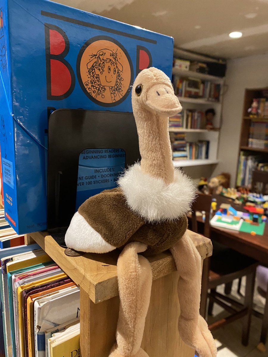 bethmdaley's tweet photo. If @bobsaget was a beanie baby. https://t.co/9zvTZrucac