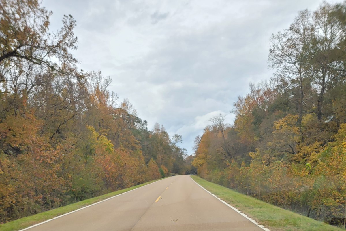 Dolphan_Bill's tweet photo. Headed 60 miles south down the Natchez Trace to the Old Country Store in Lorman (home of @AlcornStateU) for some of the best fried chicken you'll ever eat. https://t.co/peK7bf7mRj