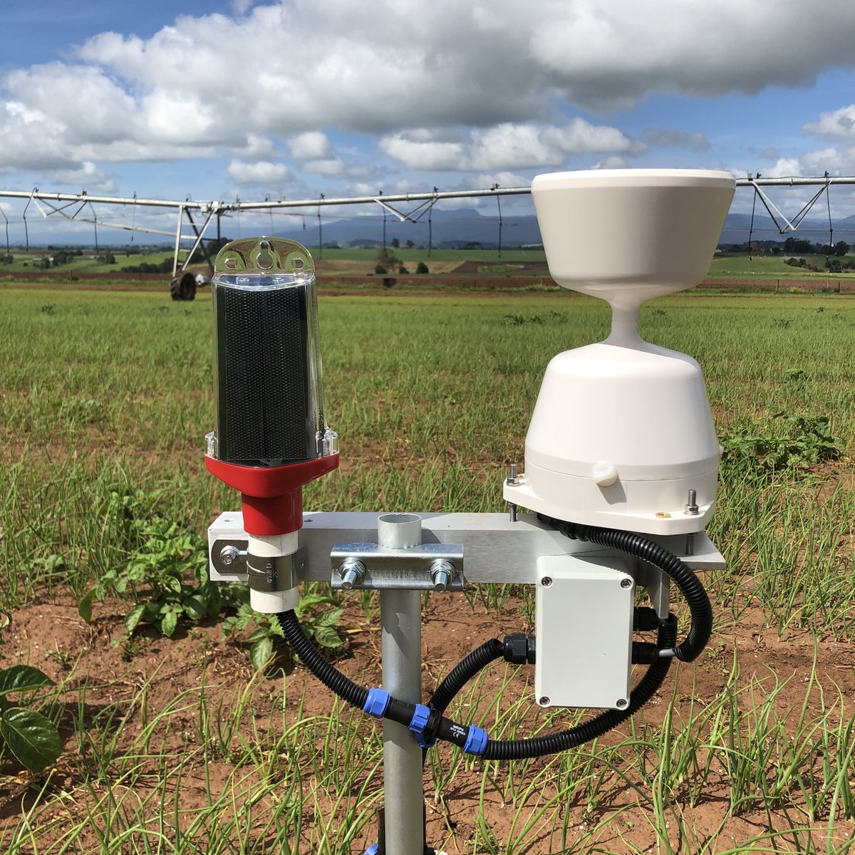 Josh Dennis tweet media