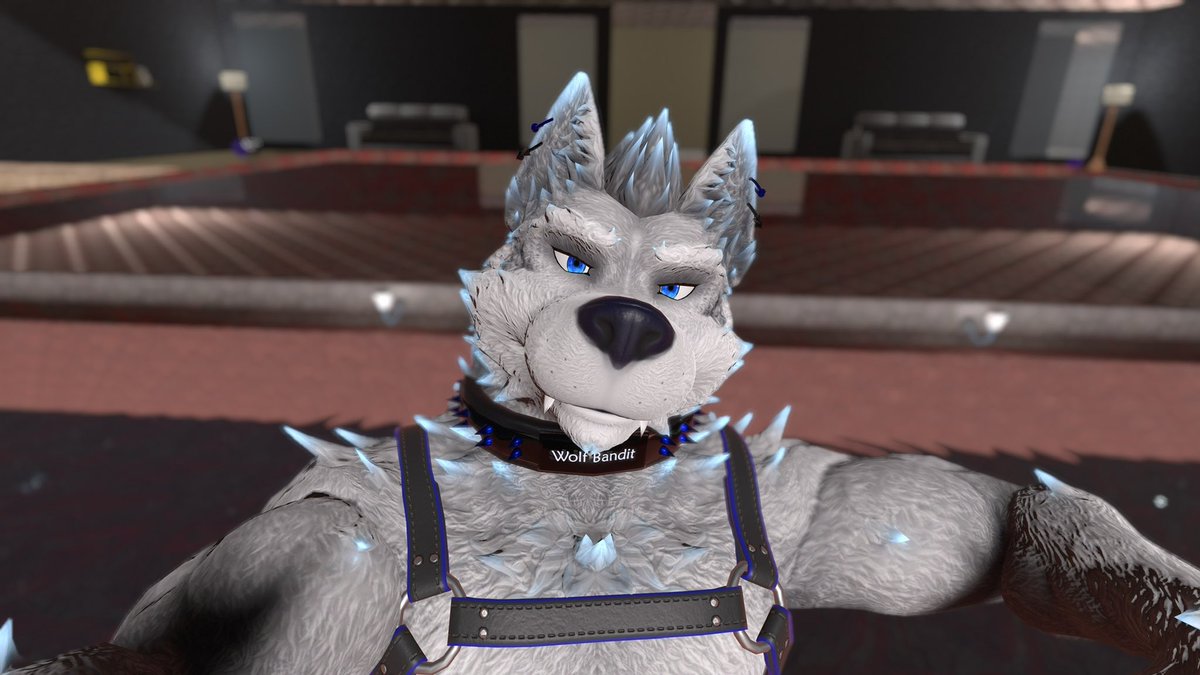 WolfBandit84's tweet photo. Chillax wolf. Yip. What else does an Arctic wolf do but relax in a pool under moonlight #vrwolf #furrywolf #vrfurry #vrchat https://t.co/EpKugHYjzH