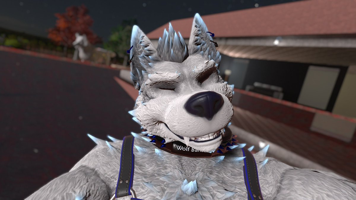 WolfBandit84's tweet photo. Chillax wolf. Yip. What else does an Arctic wolf do but relax in a pool under moonlight #vrwolf #furrywolf #vrfurry #vrchat https://t.co/EpKugHYjzH