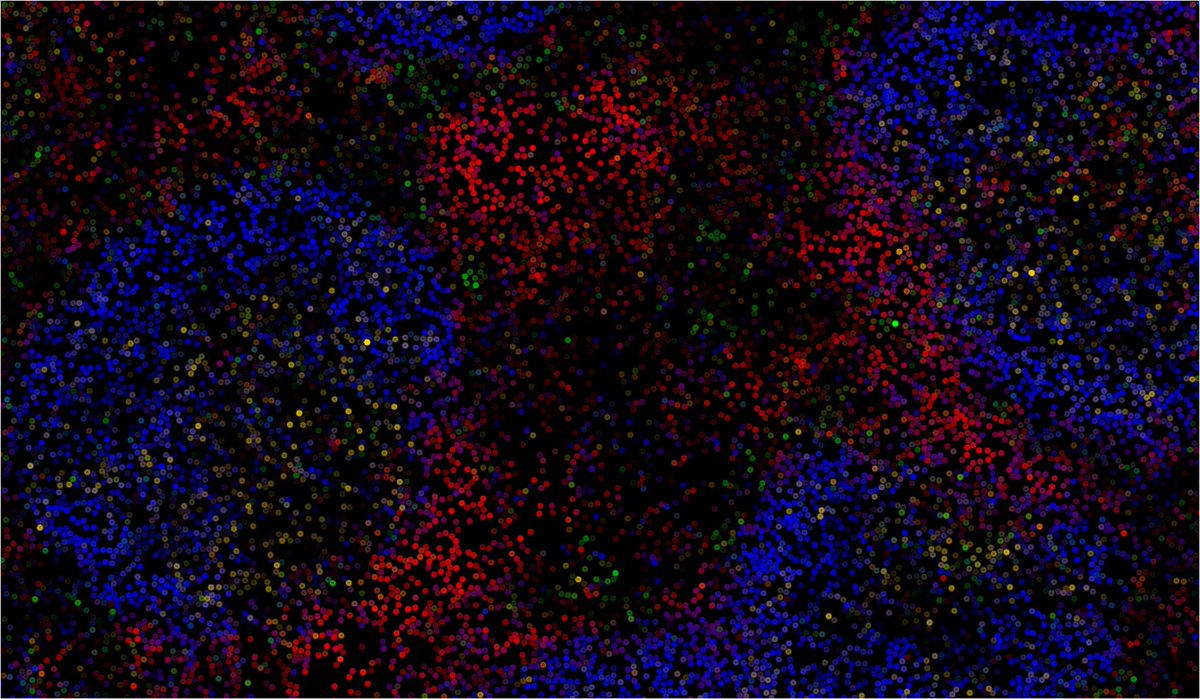 Ashraful Haque tweet media