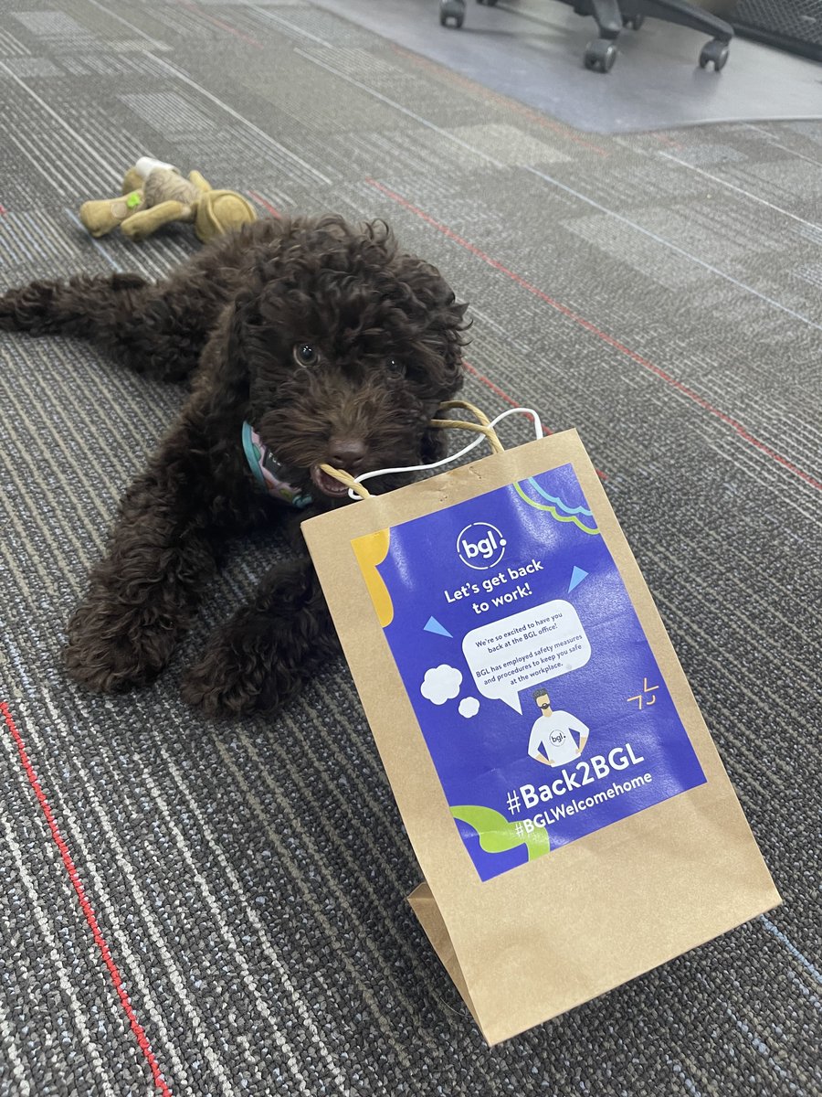 BGLcorp's tweet photo. Who else is super happy to be together with your teammates in person again?
Luna has been packing #WelcomeBack kits as we prepare ourselves to welcome everyone #Back2BGL office!πΆποΈ
Stay tuned for some fun! #ReturnToOfficeWeek will be jam-packed with snacks & prizesππ https://t.co/5mlsurnseg