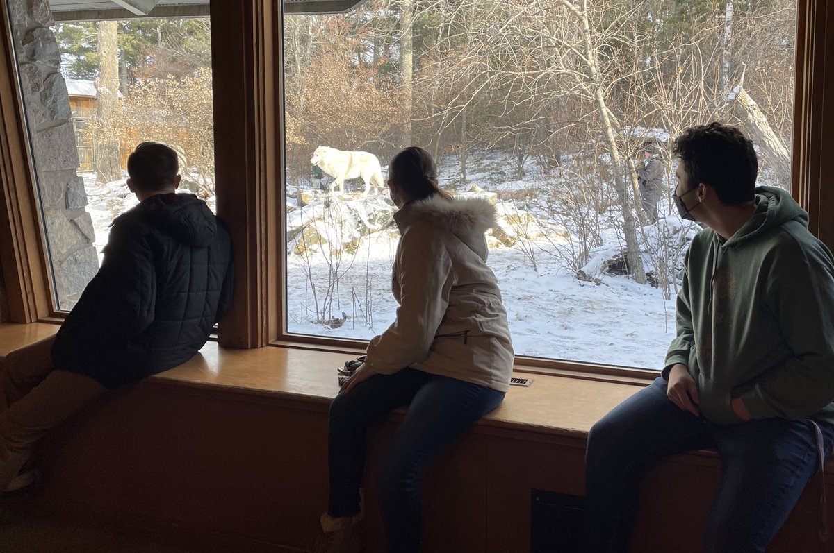 StotraChakraba2's tweet photo. 1/2 #heymac Just back from a phenomenally wonderful field trip to the @IntlWolfCenter at Ely with my #WildConservCourse @Macalester @MacEcology @MacalesterES πΊ We got to see how outreach aids conservation of πΊ in N America and elsewhere! #wolves #WarmConvos #RoadTrip #Fieldtrip https://t.co/IEjdTQhSvz