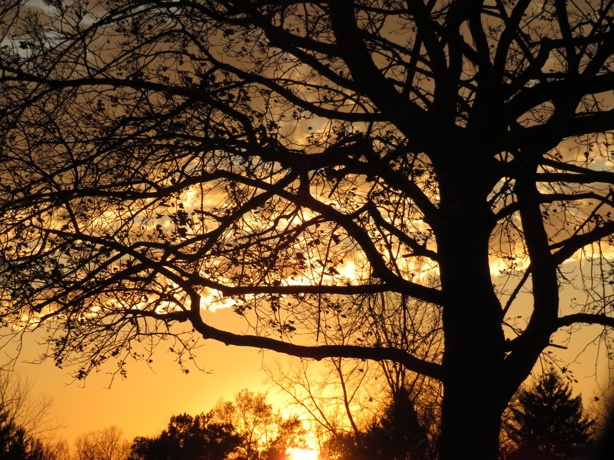 PLKlein_Author's tweet photo. "A clever person solves a problem. A wise person avoids it." ~ #AlbertEinstein #ThinkBIGSundayWithMarsha #ThinkingOutLoud #SundayMotivation #QuickQuotes #CleverPerson #SolveAProblem #WisePerson #AvoidAProblem https://t.co/m71HD2HXmn
