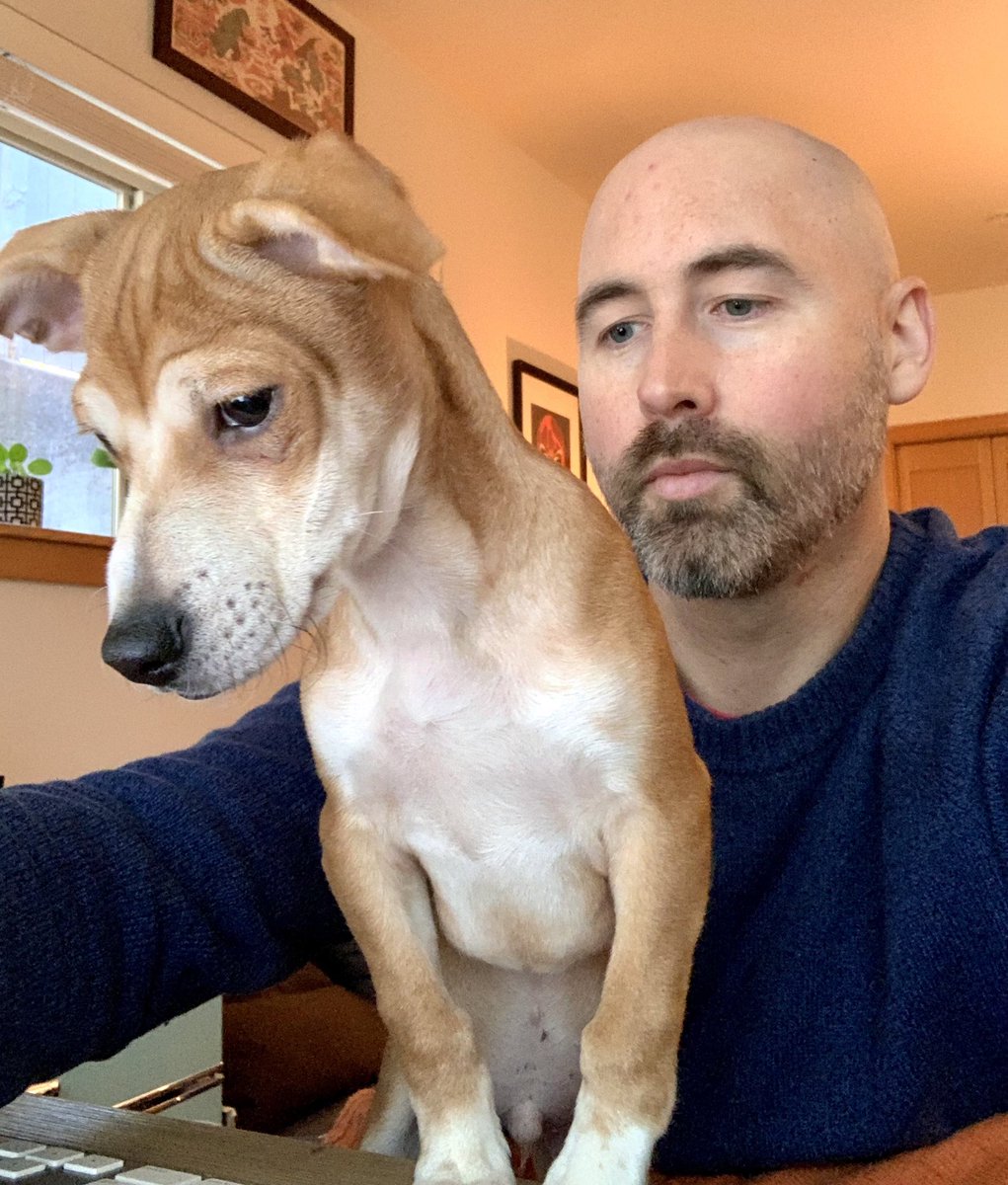 Levi Hastings tweet media