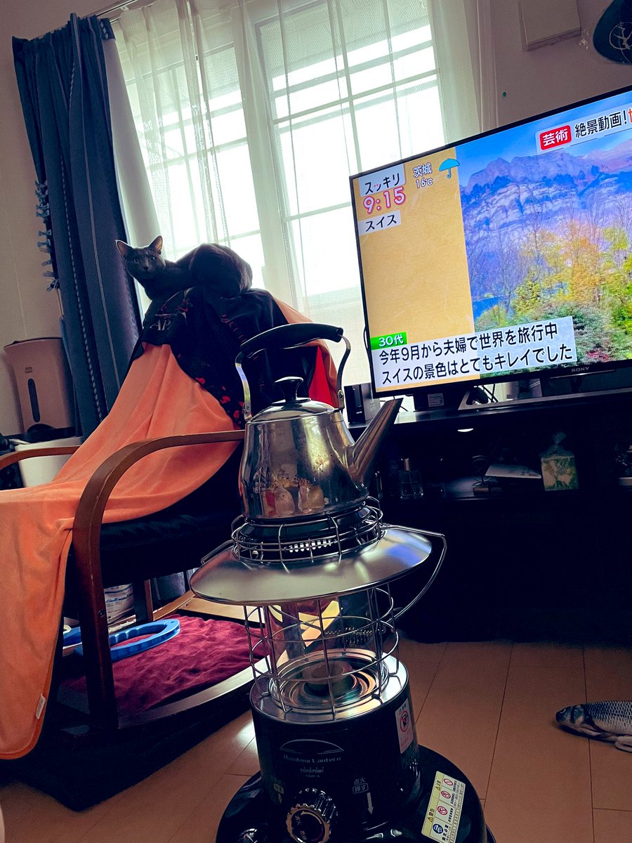 devilkillertype's tweet image. ニル　「　生活感丸出しだね😅　」

ヌシ　「　まぁ、隠す事もないしなぁ‥‥😅　」

ニル　「　今日は休みかぇ？　」

ヌシ　「　もうちょっとしたら出掛けるけど？　」

ニル　「　チェ⤵︎ 」

ヌシも内心　「　チェ⤵︎ 」