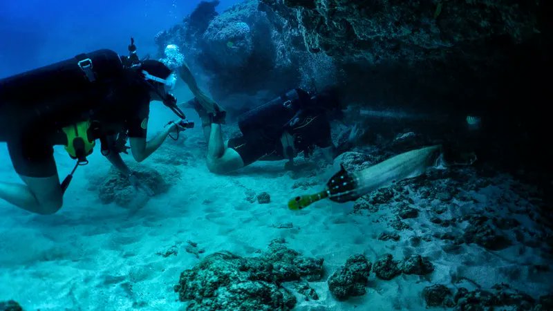 jessdavis_dfw's tweet photo. These are really freaking cool trips. - 8 Bucket-List Adventures You've Never Heard Of: https://t.co/DnMSXDrvoW via @outsidemagazine https://t.co/CiZz0xi5IF