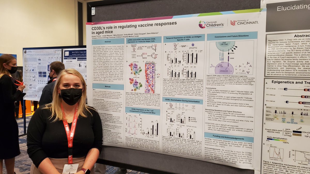 David Hildeman tweet media