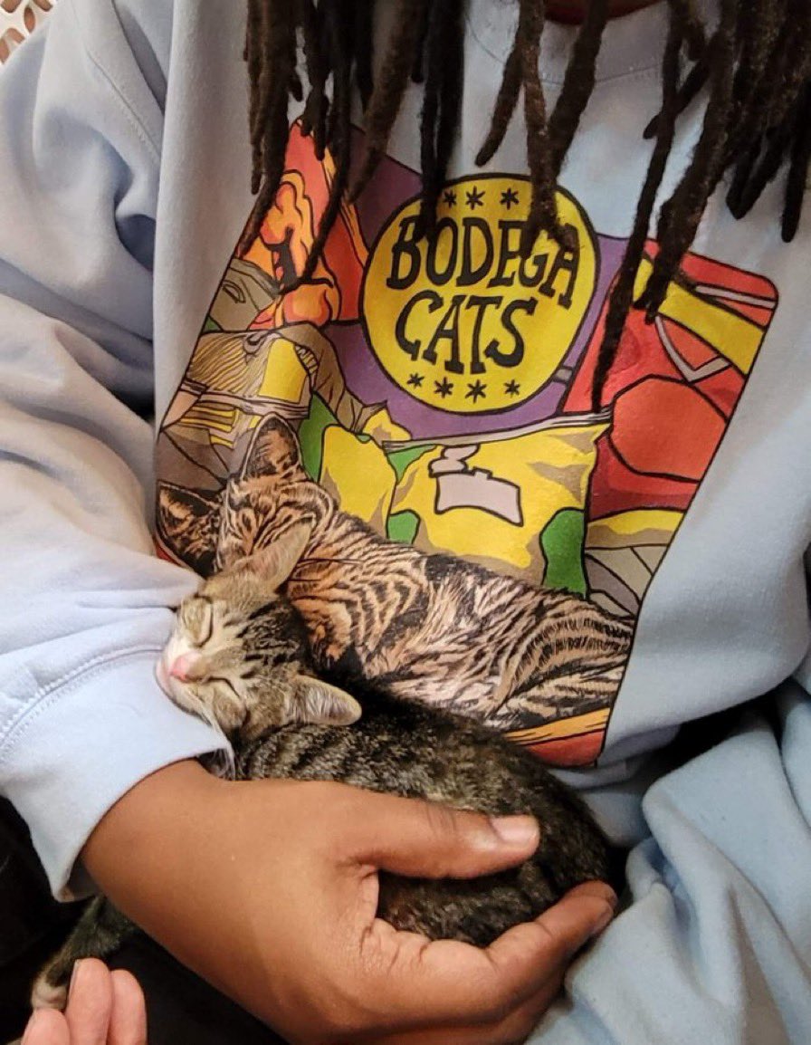 Bodegacats_'s tweet image. [1] @HiimRalphy [2] @jamjamers [3]  @kellymieux