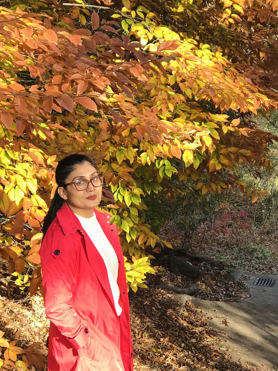 Bonna Mirza tweet media