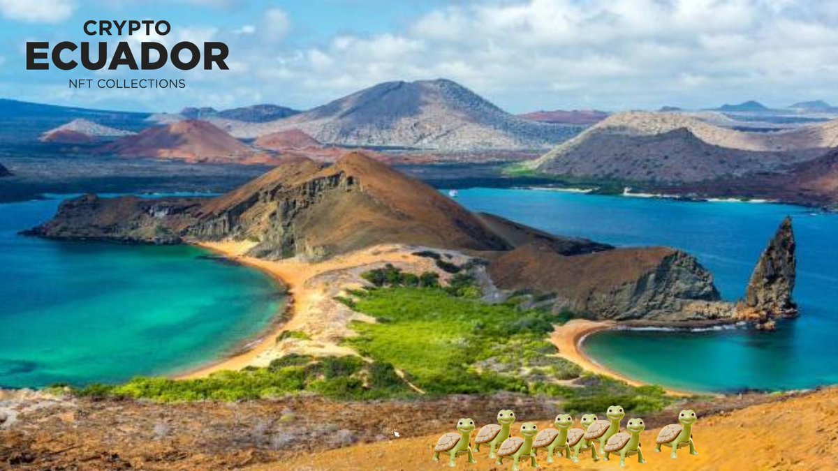 legendsecuador's tweet photo. Beautiful Landscape of our Country 🇪🇨 Our little turtles are enjoying the Enchanted Islands🐢🏝️
#NFTs #NFTCommunity #Ecuador #Enchantedislands #nftcollectors https://t.co/ta8hJXVwaG