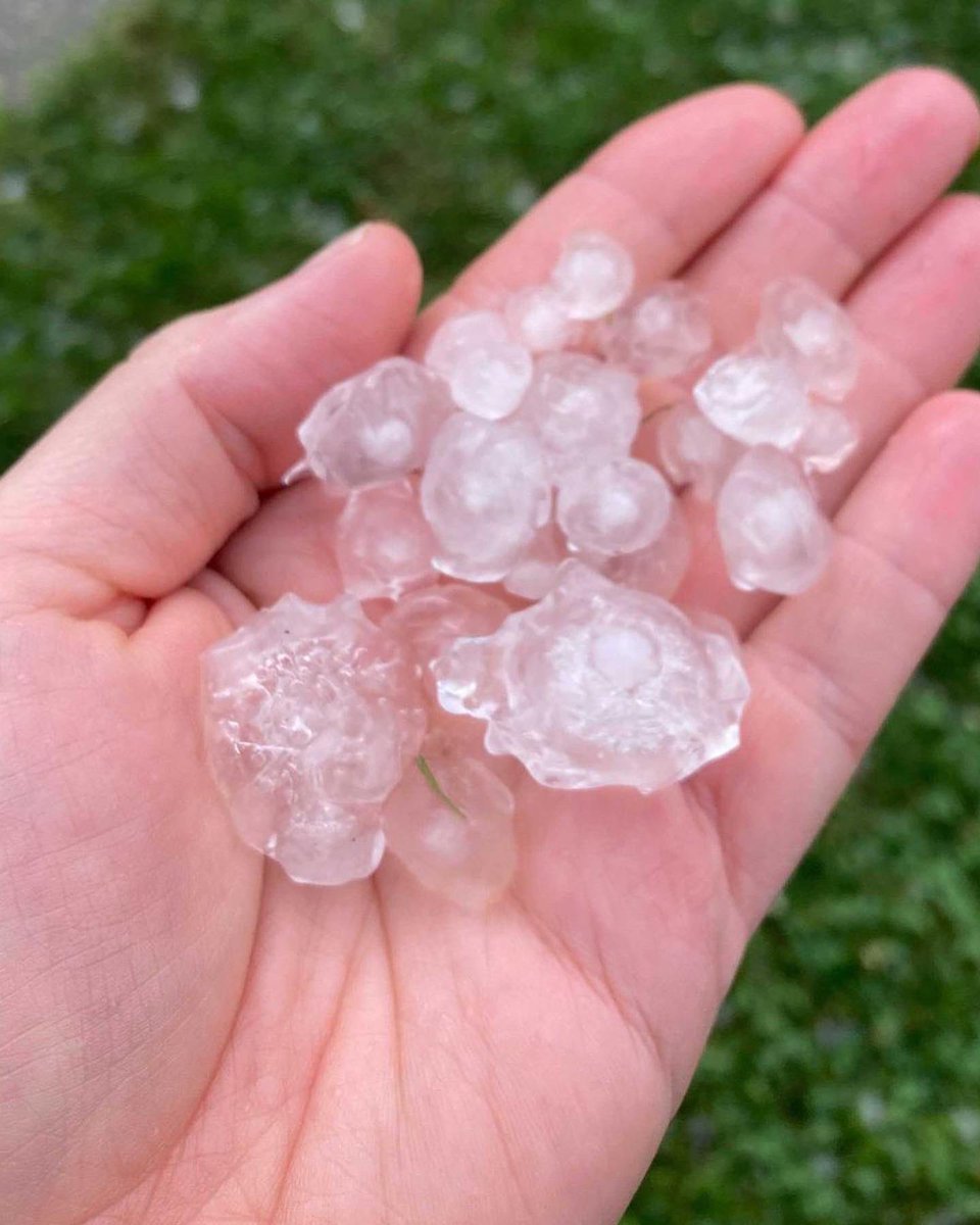 CheckMyRoof's tweet image. #hailnaw #hailno 🧊 

🏡 Homeowners, so you know how to spot 🧊 hail? Chances are probably not🤷🏻‍♀️, but that’s why we’re here to help!
#letuscheckyourroof #inspectorroofing #hail #storm #damage #insuranceexperts #roofers #georgiaonmymind