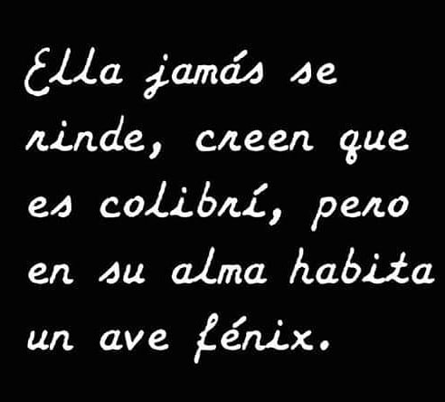 SoyLauraRivas's tweet photo. Los abrazo fuerte... Sé que están tristes, algunos con pena y dolor, por los que se fueron... Por los que están enfermos, los que están dando su Mayor esfuerzo por sobrevivir, los que no tienen trabajo. Sin embargo todos los días El Sol sigue saliendo y Dios nunca nos olvida 💮🍀 https://t.co/2s4VkZcSGL