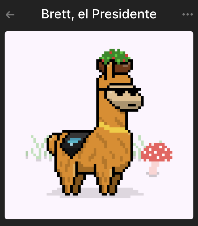 BrettHarrison's tweet photo. i'll admit it -- got my honorary... plus 11 more <3 https://t.co/s2OMiWqVi2