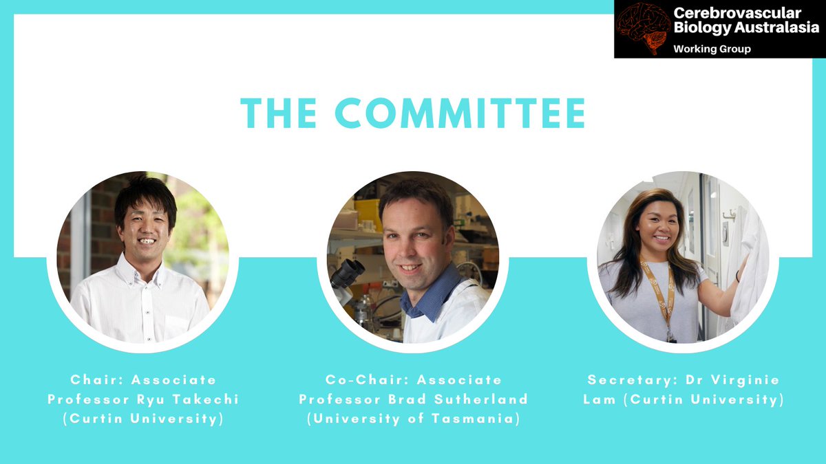 CVBAus's tweet image. Meet the Committee
Chair: Associate Professor Ryu Takechi (Curtin University), Co-Chair: Associate Professor Brad Sutherland (University of Tasmania) and Secretary: Dr Virginie Lam (Curtin University).
#committee #bloodbrainbarrier #cerebrovascular #biology #neuroscience