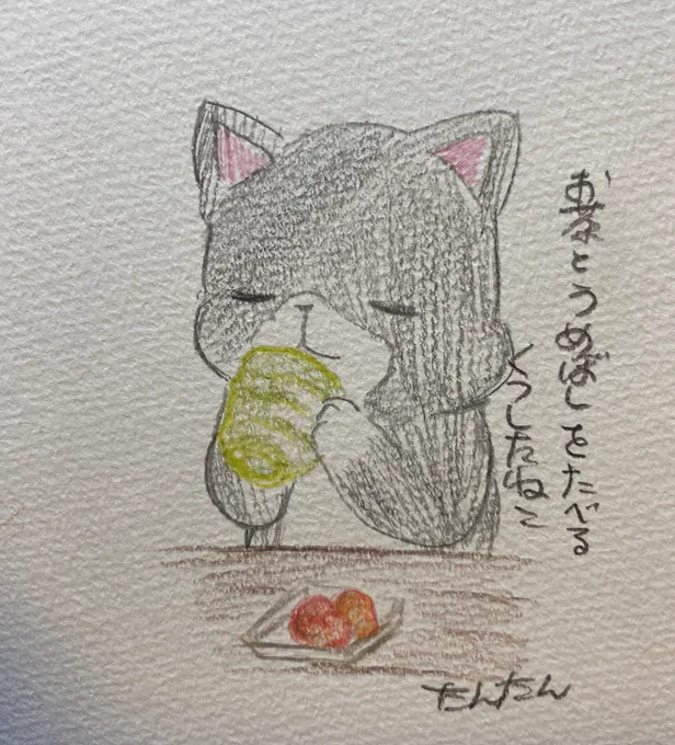 お茶と梅干しを食べるくつしたねこ

#イラスト #猫 