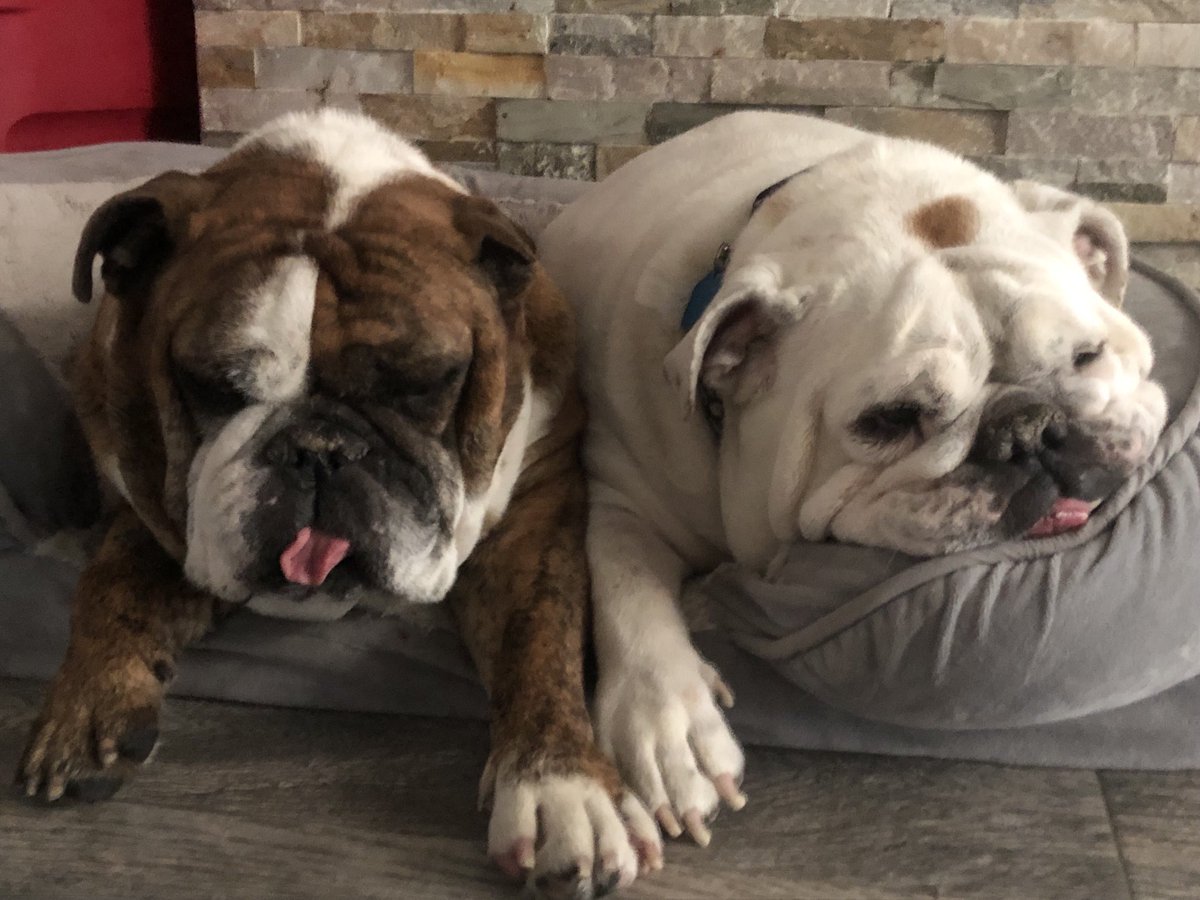 Best news possible! Spleen was ruptured but no cancer was found! His sister is less than ecstatic